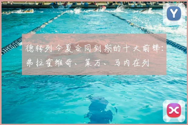 德转列今夏合同到期的十大前锋：弗拉霍维奇、莱万、马内在列