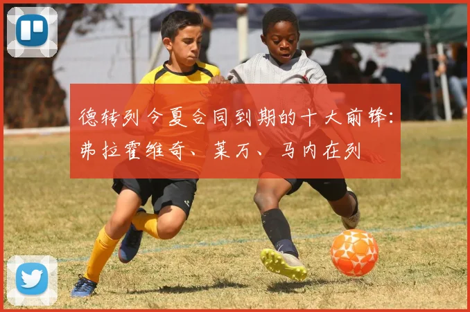德转列今夏合同到期的十大前锋：弗拉霍维奇、莱万、马内在列
